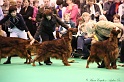 Crufts2011_2 042